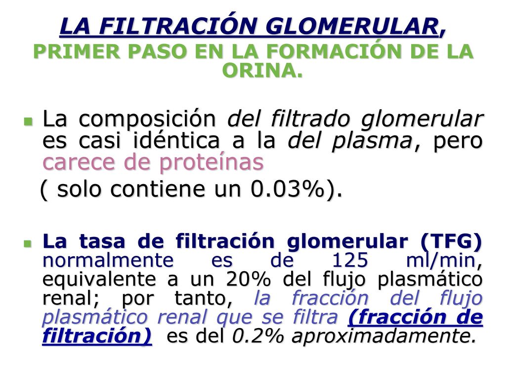 LA FILTRACIÓN GLOMERULAR, PRIMER PASO EN LA FORMACIÓN DE LA ORINA.
