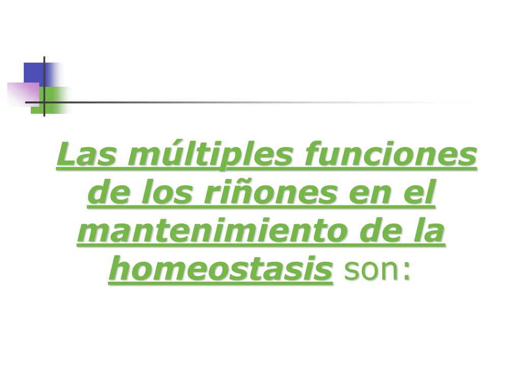 Las múltiples funciones de los riñones en el mantenimiento de la homeostasis son: