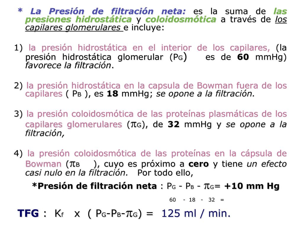 TFG : Kf x ( PG-PB-G) = 125 ml / min.