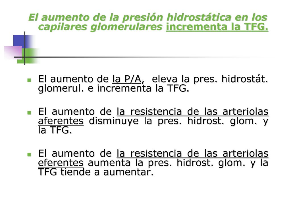El aumento de la presión hidrostática en los capilares glomerulares incrementa la TFG.