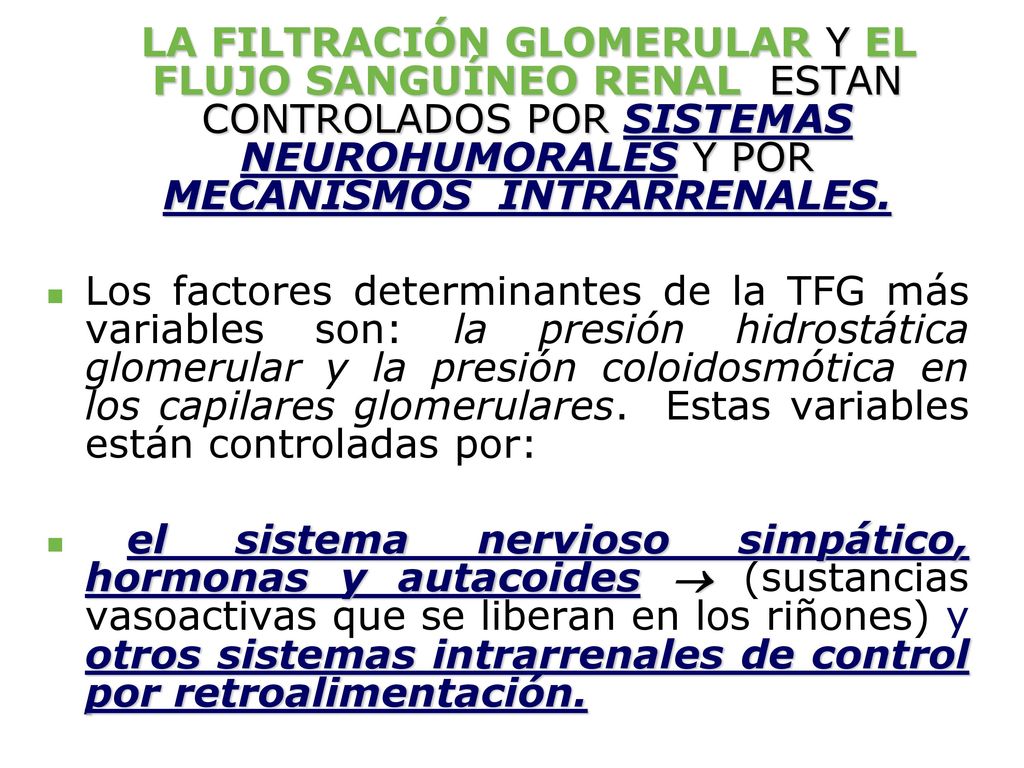 LA FILTRACIÓN GLOMERULAR Y EL FLUJO SANGUÍNEO RENAL ESTAN CONTROLADOS POR SISTEMAS NEUROHUMORALES Y POR MECANISMOS INTRARRENALES.