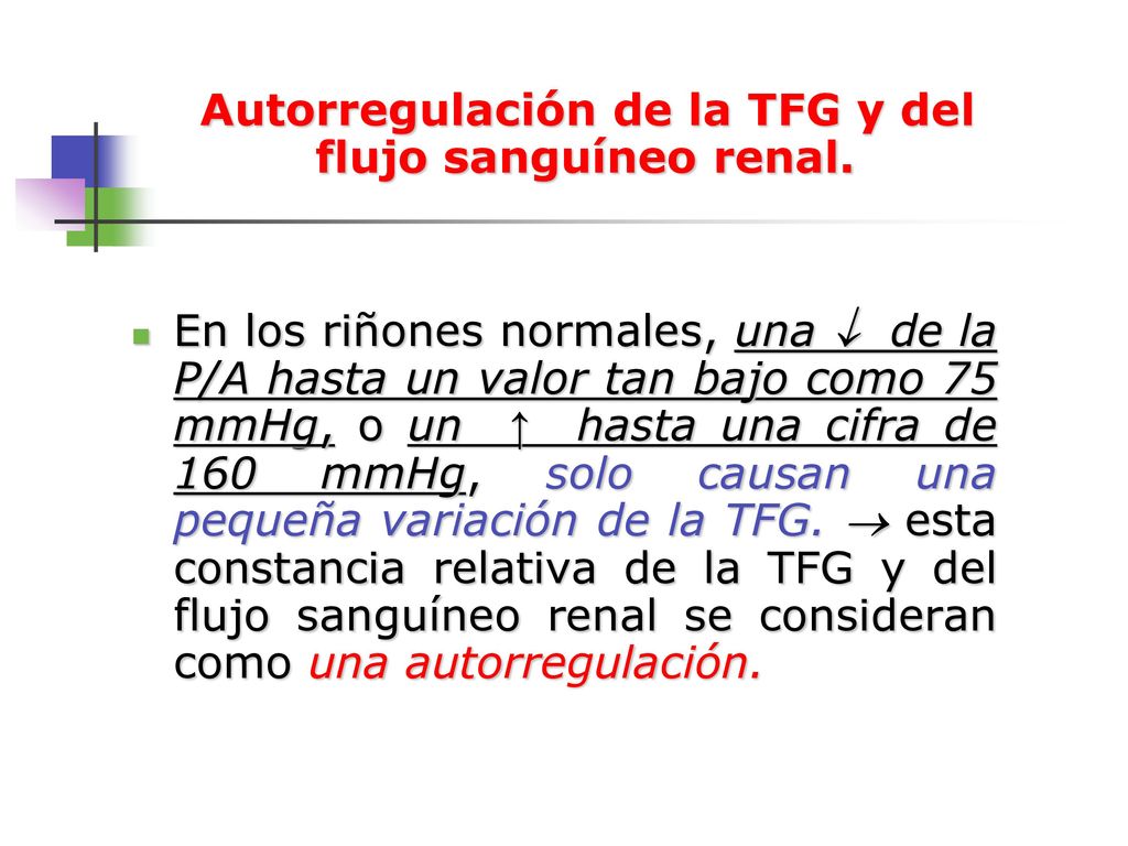 Autorregulación de la TFG y del flujo sanguíneo renal.