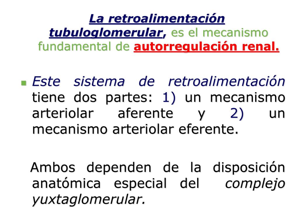 La retroalimentación tubuloglomerular, es el mecanismo fundamental de autorregulación renal.