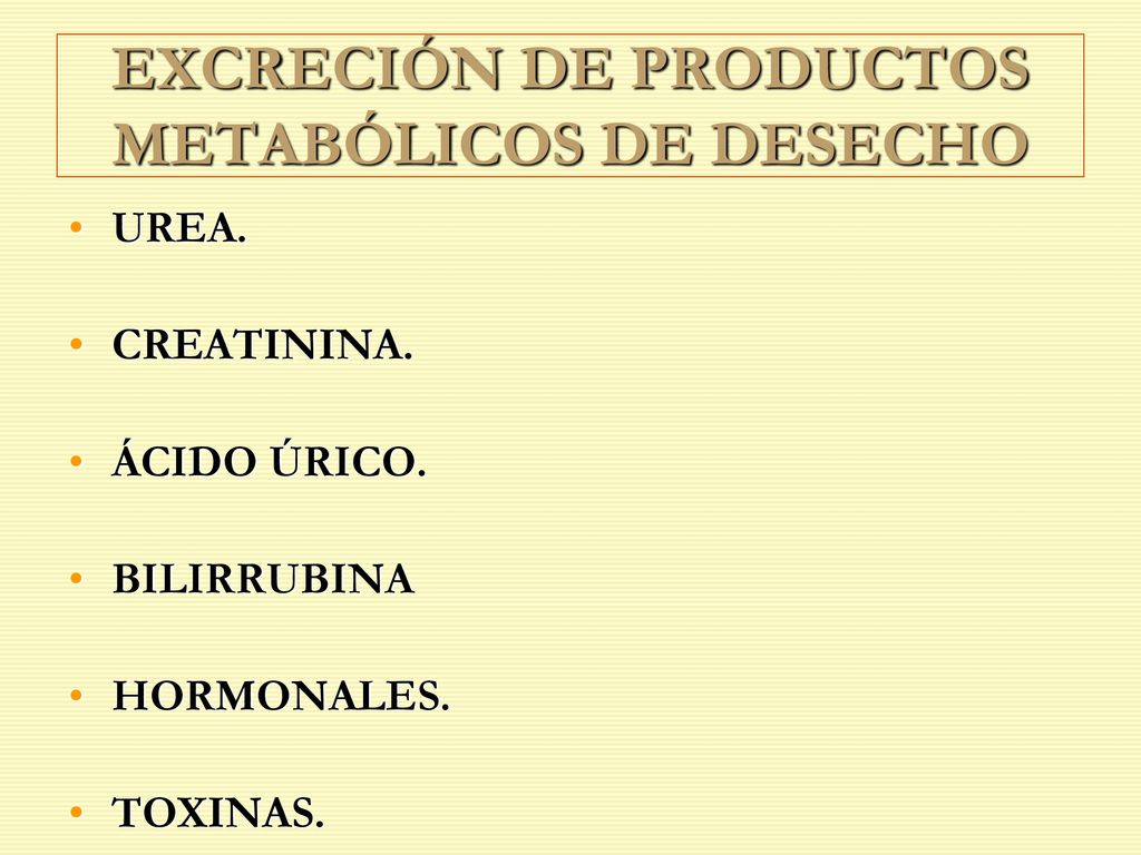 EXCRECIÓN DE PRODUCTOS METABÓLICOS DE DESECHO