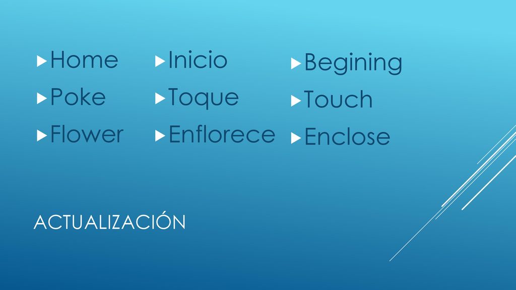 Begining Touch Enclose Home Poke Flower Inicio Toque Enflorece