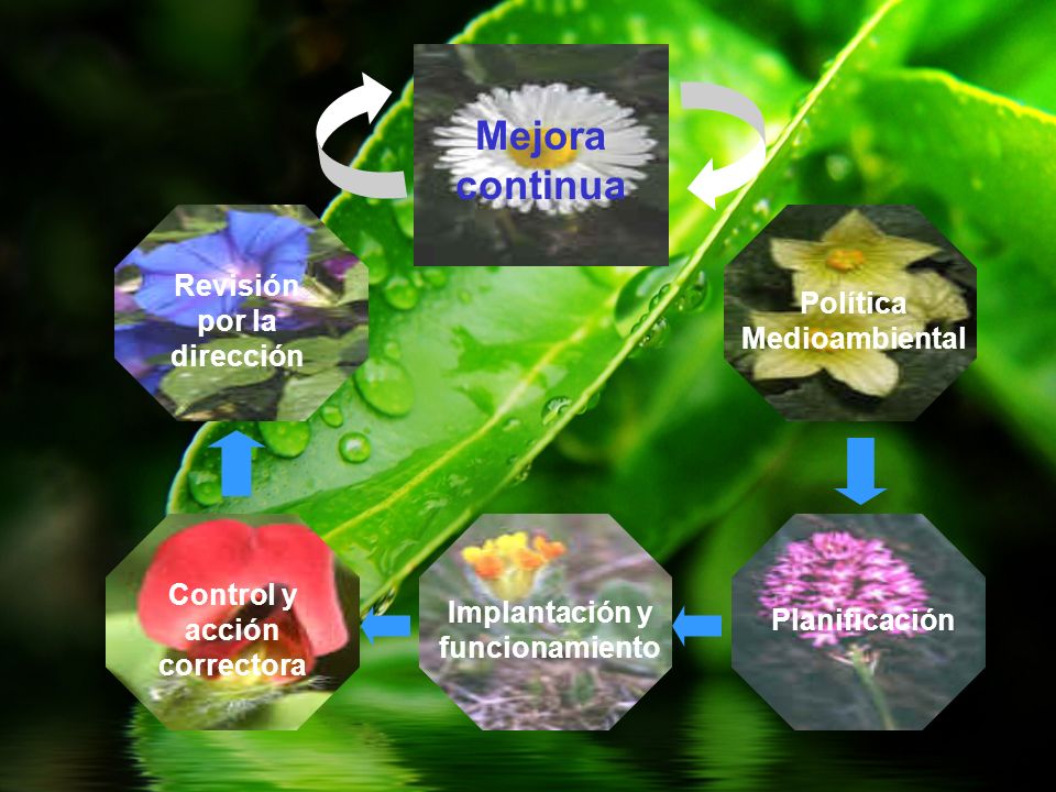 Mejora continua Revisión por la dirección Política Medioambiental