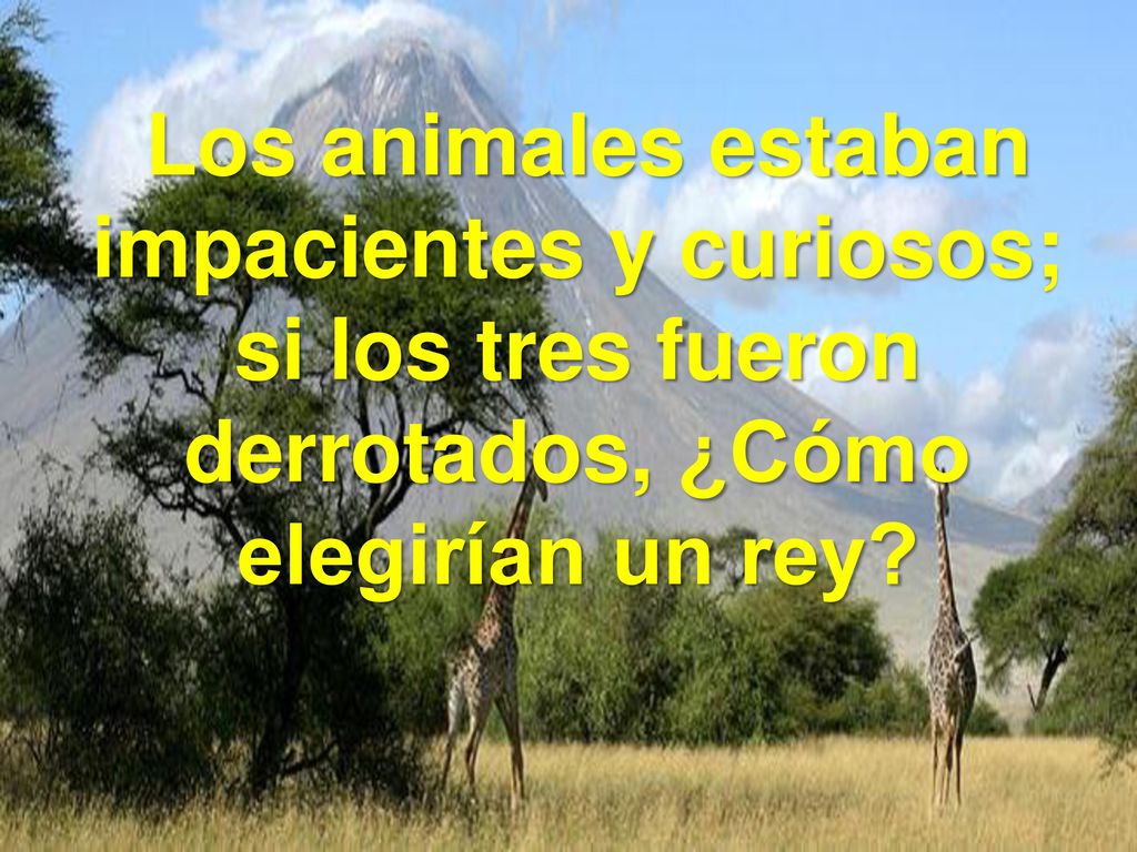 Los animales estaban impacientes y curiosos; si los tres fueron derrotados, ¿Cómo elegirían un rey