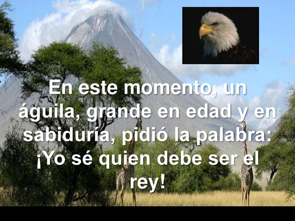 En este momento, un águila, grande en edad y en sabiduría, pidió la palabra: ¡Yo sé quien debe ser el rey!