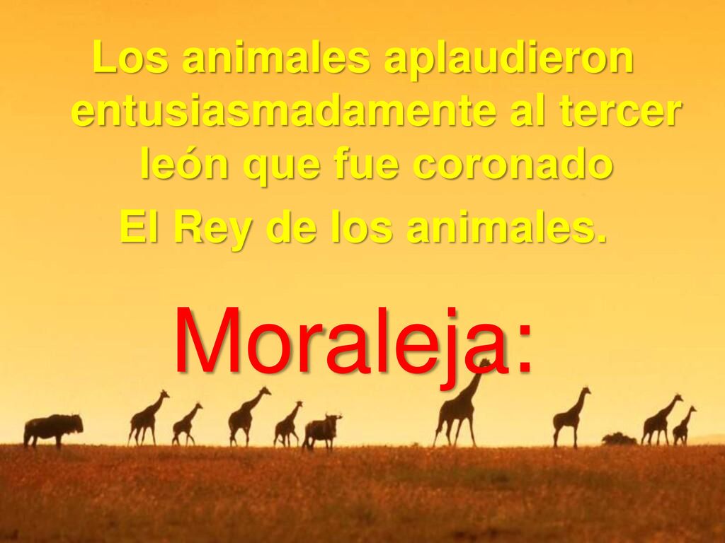 Los animales aplaudieron entusiasmadamente al tercer león que fue coronado