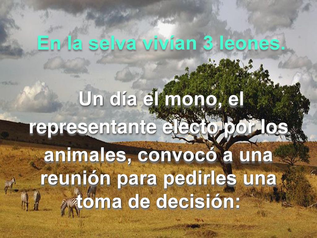 En la selva vivían 3 leones. Un día el mono, el