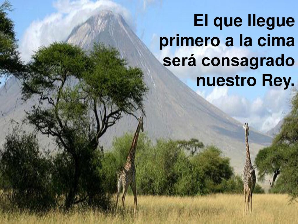 El que llegue primero a la cima será consagrado nuestro Rey.