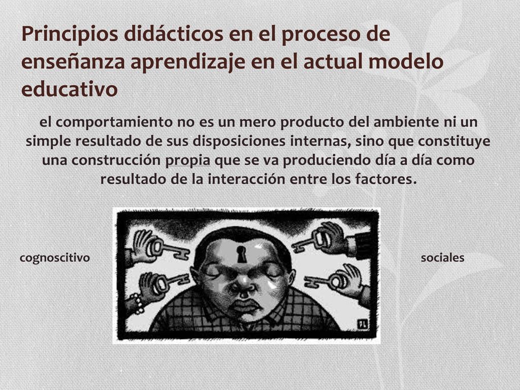 Principios didácticos en el proceso de enseñanza aprendizaje en el actual modelo educativo