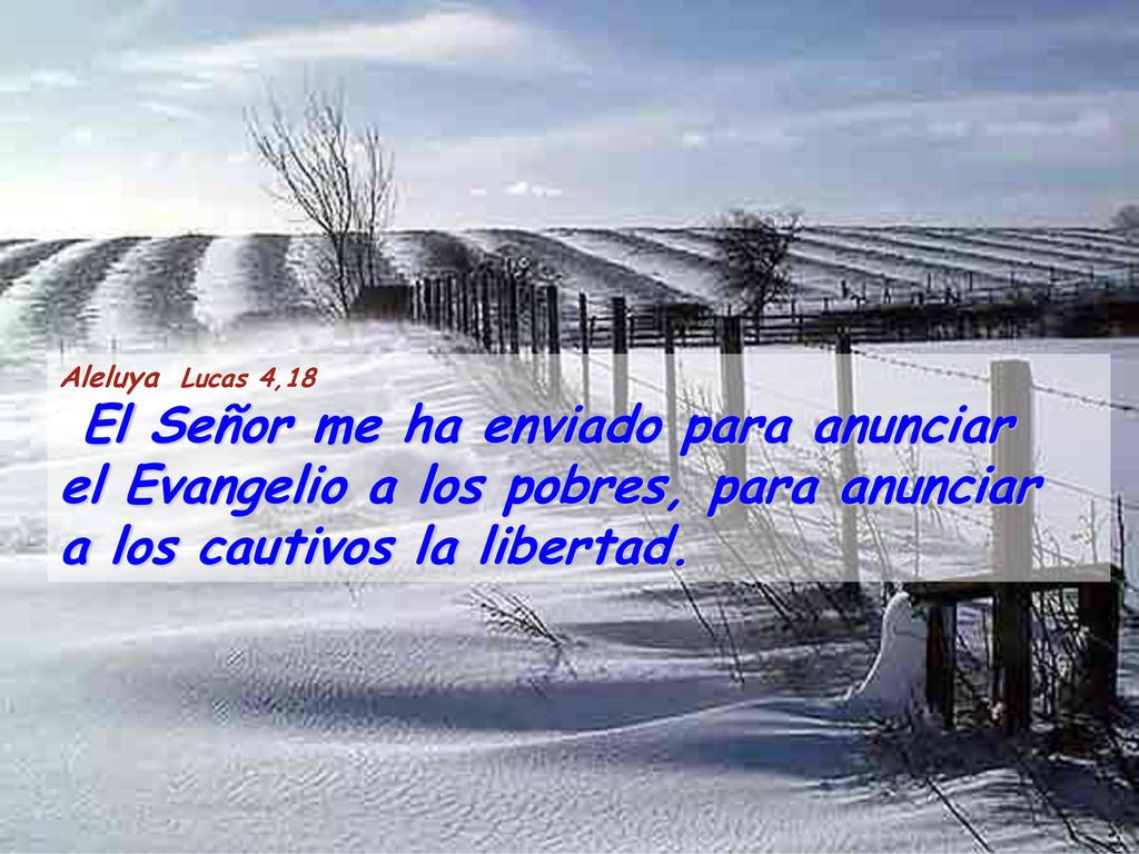 Aleluya Lucas 4,18 El Señor me ha enviado para anunciar el Evangelio a los pobres, para anunciar a los cautivos la libertad.