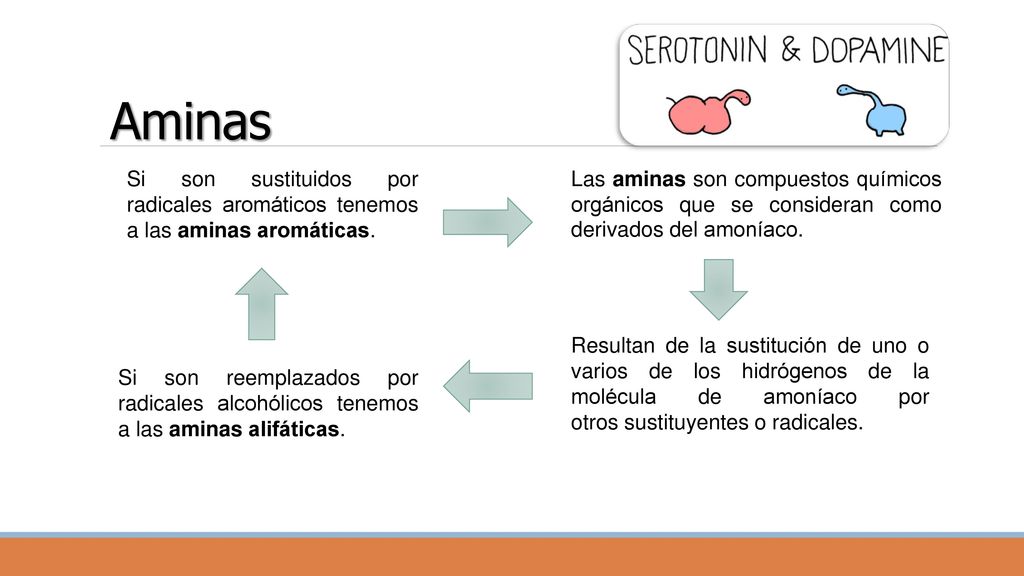 Aminas Si son sustituidos por radicales aromáticos tenemos a las aminas aromáticas.