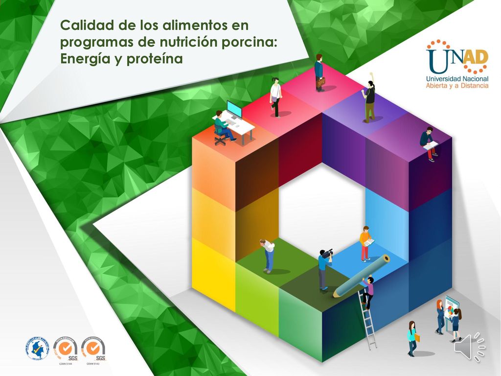 Calidad de los alimentos en programas de nutrición porcina: Energía y proteína