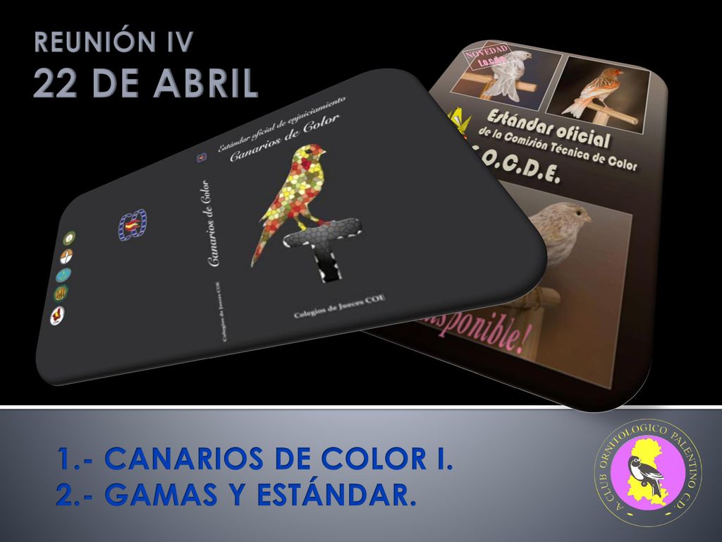 REUNIÓN IV 22 DE ABRIL 1.- CANARIOS DE COLOR I. 2.- GAMAS Y ESTÁNDAR.