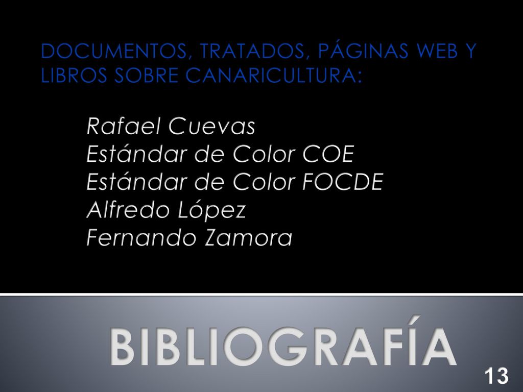 BIBLIOGRAFÍA Rafael Cuevas Estándar de Color COE