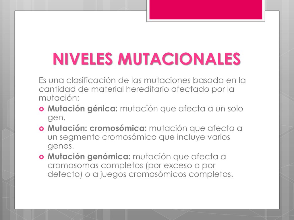 NIVELES MUTACIONALES Es una clasificación de las mutaciones basada en la cantidad de material hereditario afectado por la mutación:
