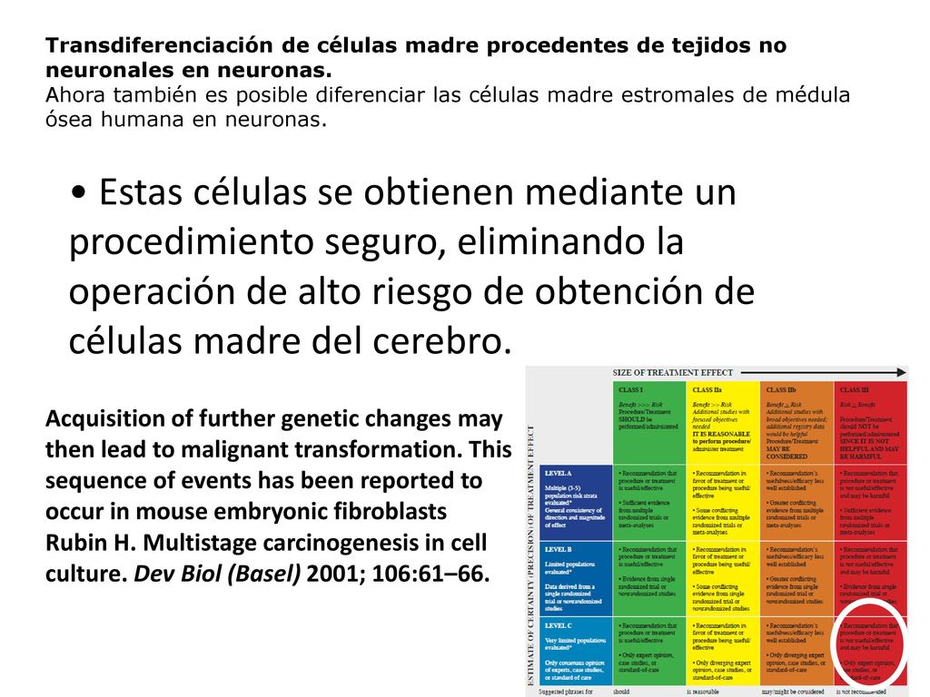 Transdiferenciación de células madre procedentes de tejidos no neuronales en neuronas.
