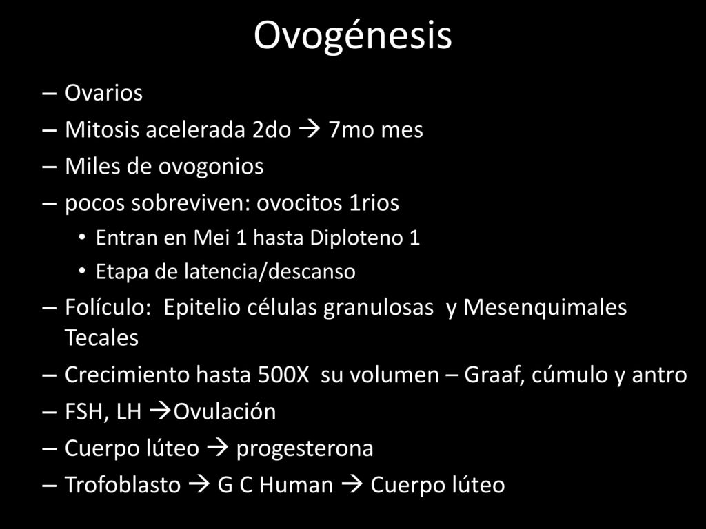 Ovogénesis Ovarios Mitosis acelerada 2do  7mo mes Miles de ovogonios
