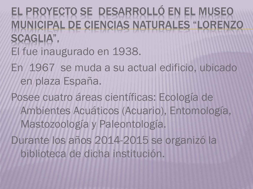 El proyecto se desarrolló en el Museo municipal de ciencias naturales lorenzo scaglia .