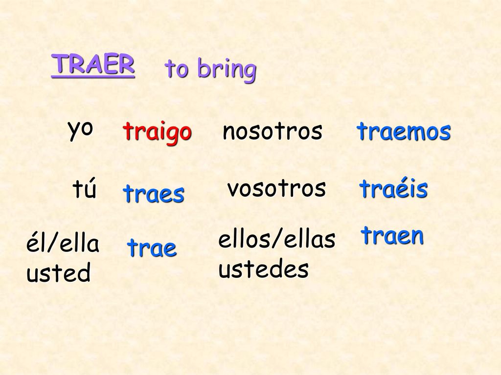 TRAER to bring. yo. traigo. nosotros. traemos. tú. vosotros. traéis. traes. traen. ellos/ellas.