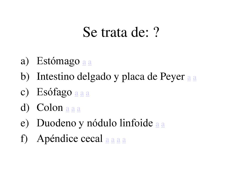 Se trata de: Estómago a a Intestino delgado y placa de Peyer a a