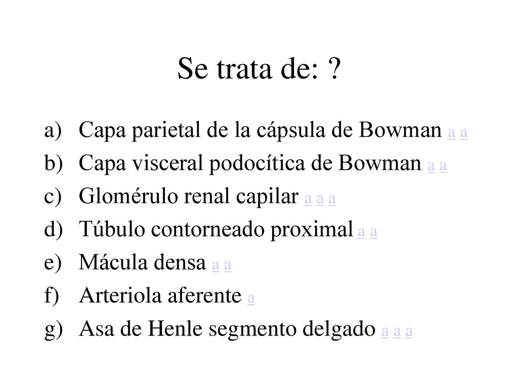Se trata de: Capa parietal de la cápsula de Bowman a a