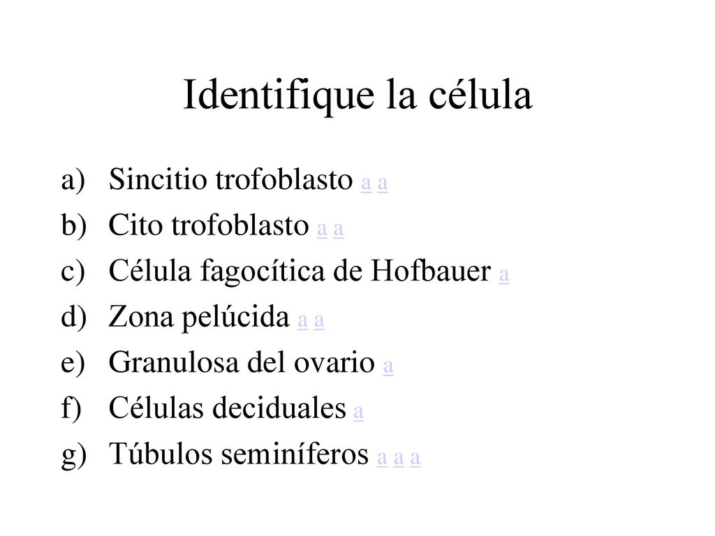 Identifique la célula Sincitio trofoblasto a a Cito trofoblasto a a