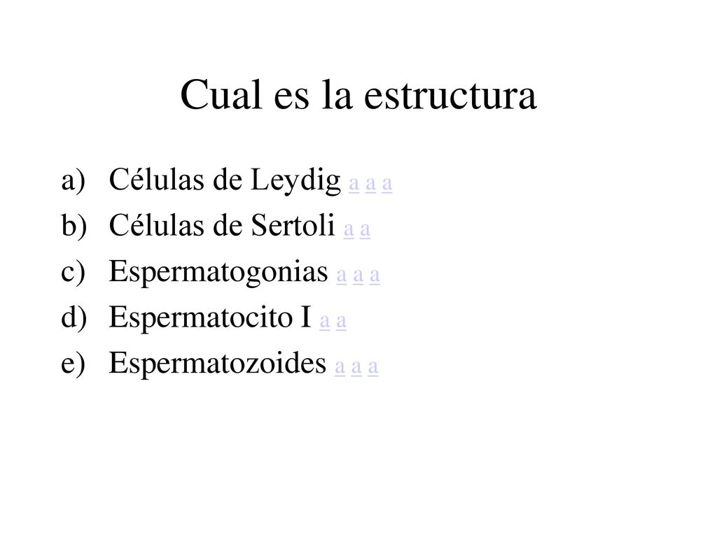 Cual es la estructura Células de Leydig a a a Células de Sertoli a a