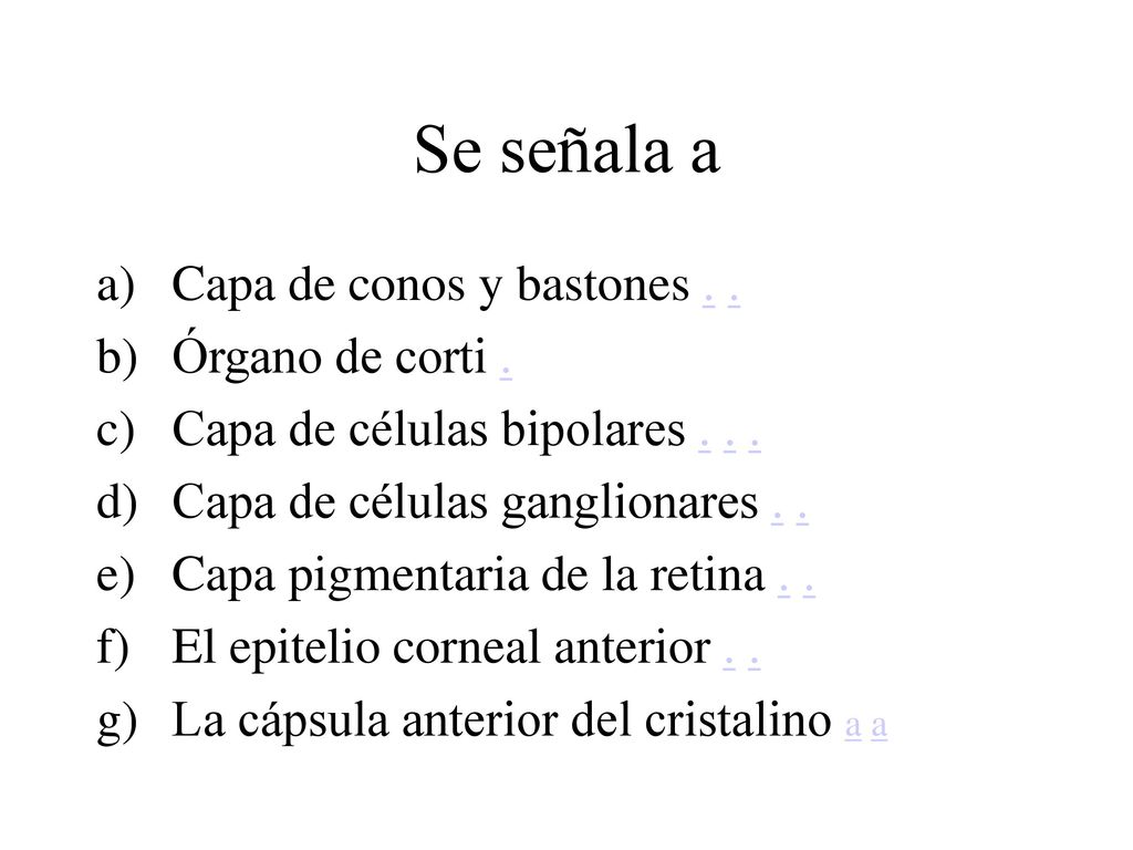 Se señala a Capa de conos y bastones . . Órgano de corti .