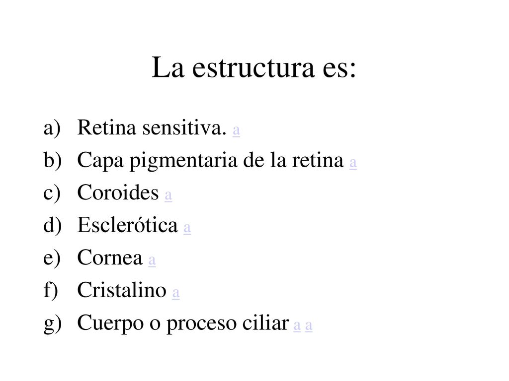La estructura es: Retina sensitiva. a Capa pigmentaria de la retina a