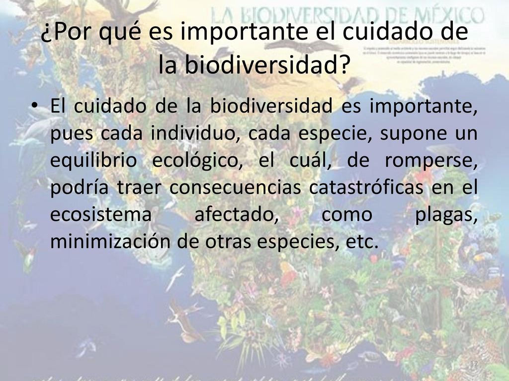 ¿Por qué es importante el cuidado de la biodiversidad