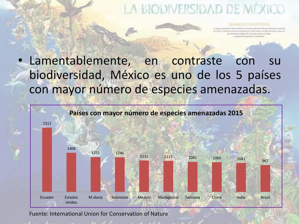 Lamentablemente, en contraste con su biodiversidad, México es uno de los 5 países con mayor número de especies amenazadas.