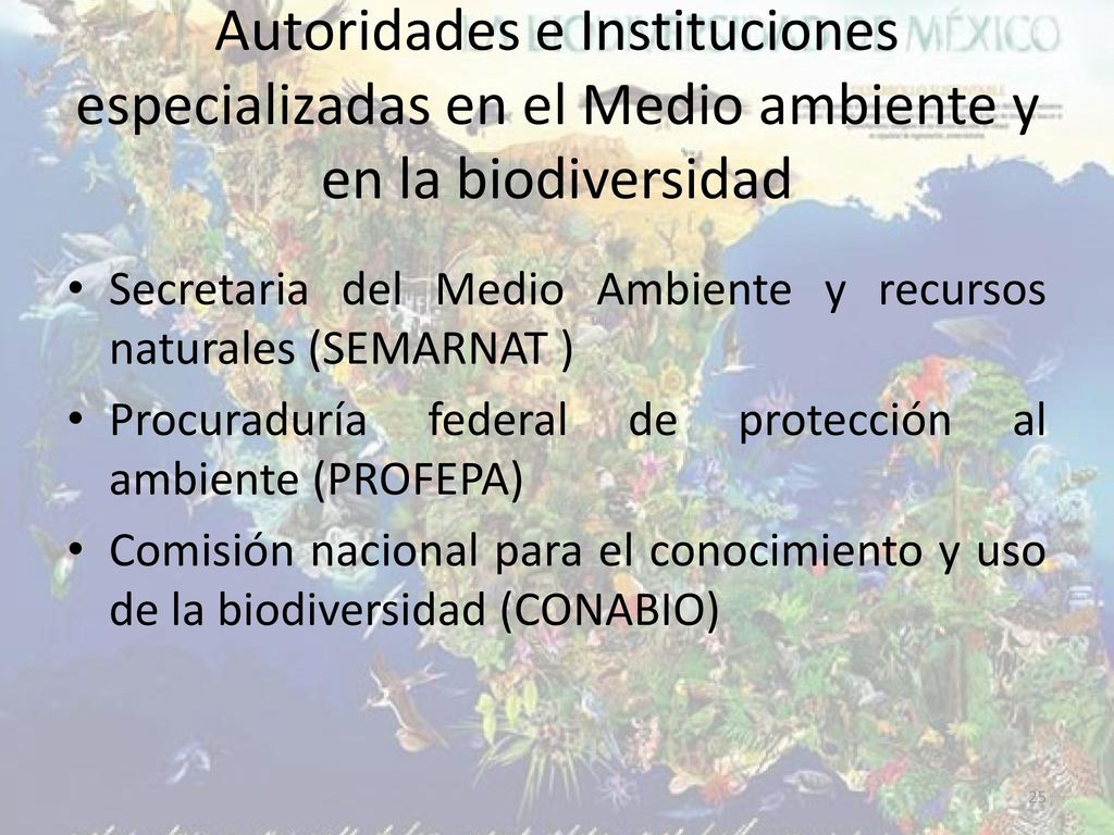 Autoridades e Instituciones especializadas en el Medio ambiente y en la biodiversidad