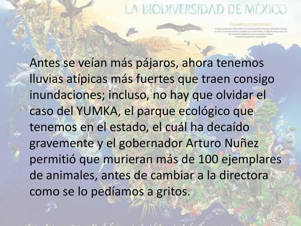 Antes se veían más pájaros, ahora tenemos lluvias atípicas más fuertes que traen consigo inundaciones; incluso, no hay que olvidar el caso del YUMKA, el parque ecológico que tenemos en el estado, el cuál ha decaído gravemente y el gobernador Arturo Nuñez permitió que murieran más de 100 ejemplares de animales, antes de cambiar a la directora como se lo pedíamos a gritos.
