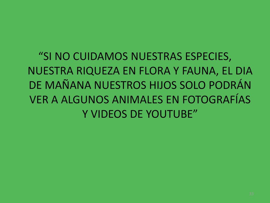 SI NO CUIDAMOS NUESTRAS ESPECIES, NUESTRA RIQUEZA EN FLORA Y FAUNA, EL DIA DE MAÑANA NUESTROS HIJOS SOLO PODRÁN VER A ALGUNOS ANIMALES EN FOTOGRAFÍAS Y VIDEOS DE YOUTUBE