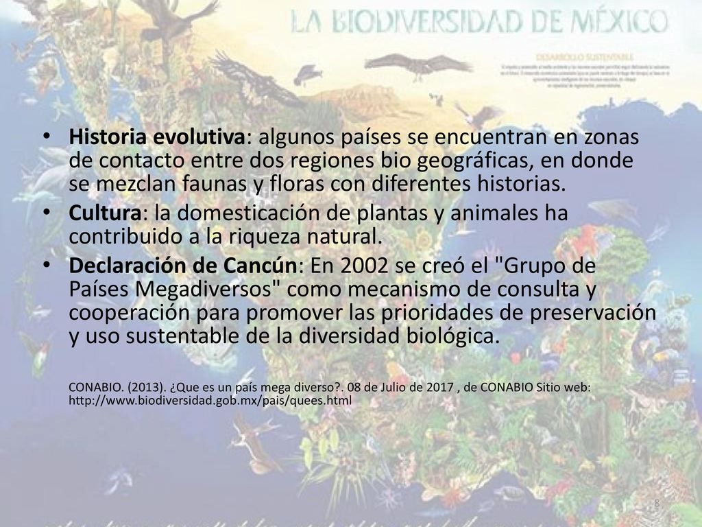 Historia evolutiva: algunos países se encuentran en zonas de contacto entre dos regiones bio geográficas, en donde se mezclan faunas y floras con diferentes historias.