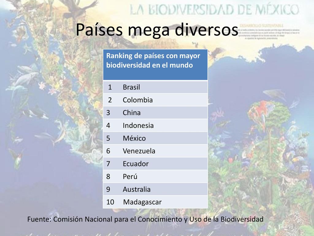 Países mega diversos Fuente: Comisión Nacional para el Conocimiento y Uso de la Biodiversidad.