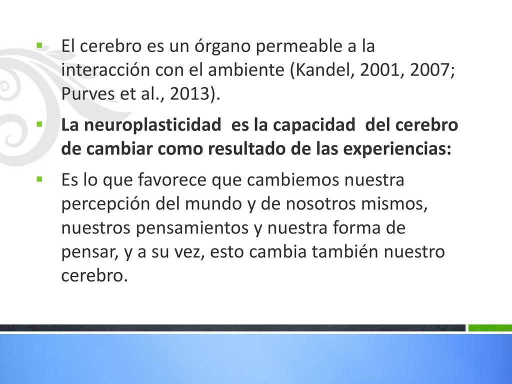 El cerebro es un órgano permeable a la interacción con el ambiente (Kandel, 2001, 2007; Purves et al., 2013).