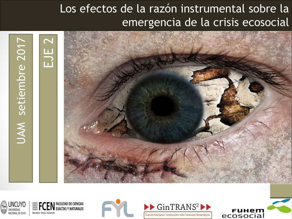 Los efectos de la razón instrumental sobre la emergencia de la crisis ecosocial