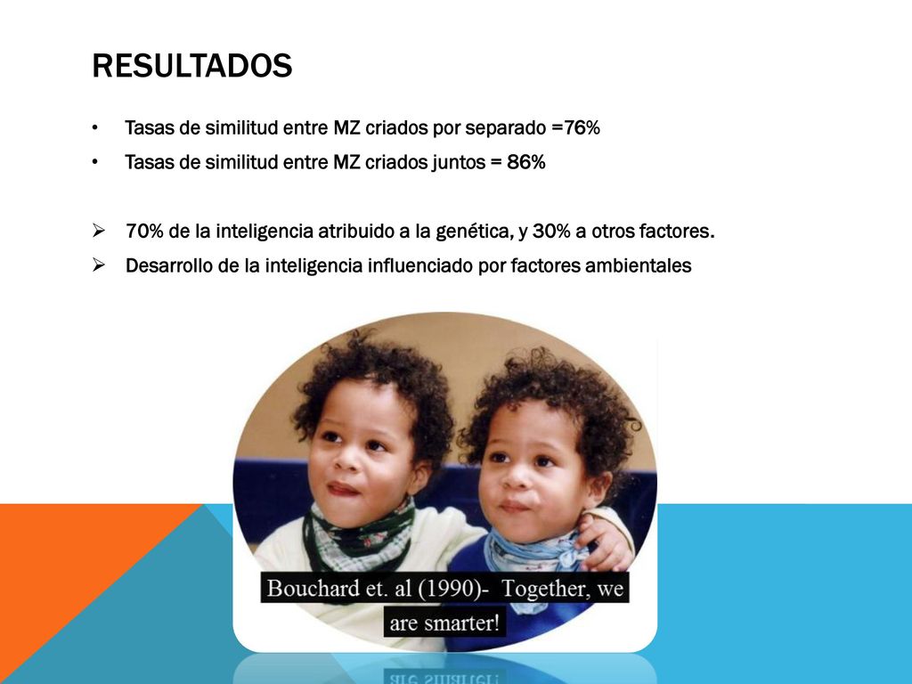 resultados Tasas de similitud entre MZ criados por separado =76%