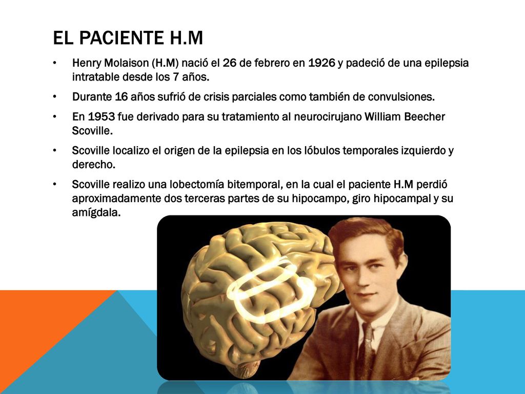 El paciente H.M Henry Molaison (H.M) nació el 26 de febrero en 1926 y padeció de una epilepsia intratable desde los 7 años.