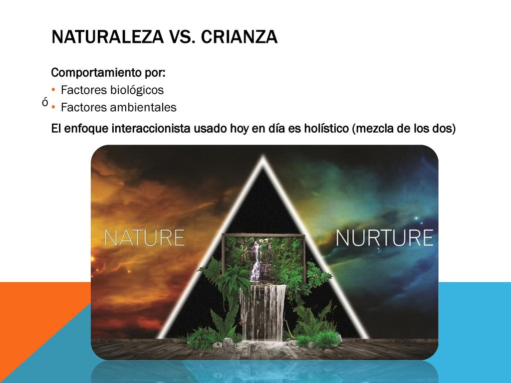 Naturaleza vs. Crianza Comportamiento por: Factores biológicos