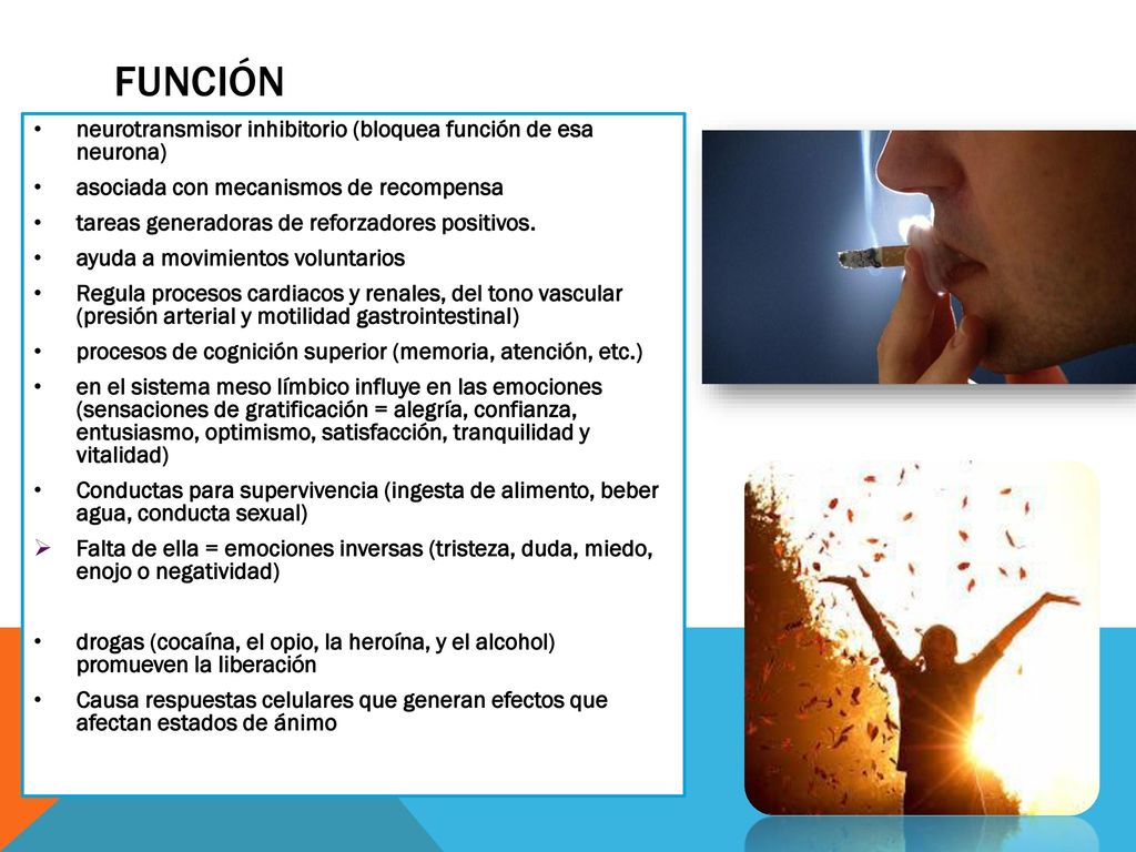 Función neurotransmisor inhibitorio (bloquea función de esa neurona)