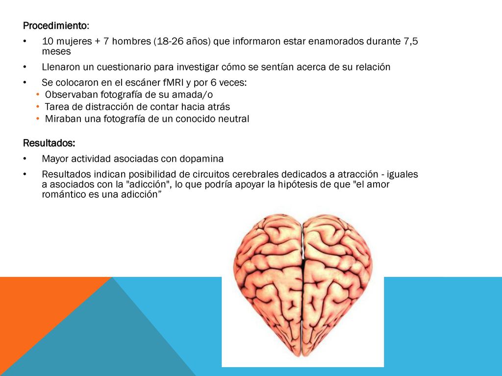 Procedimiento: 10 mujeres + 7 hombres (18-26 años) que informaron estar enamorados durante 7,5 meses.
