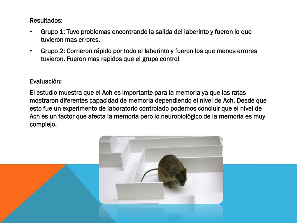 Resultados: Grupo 1: Tuvo problemas encontrando la salida del laberinto y fueron lo que tuvieron mas errores.