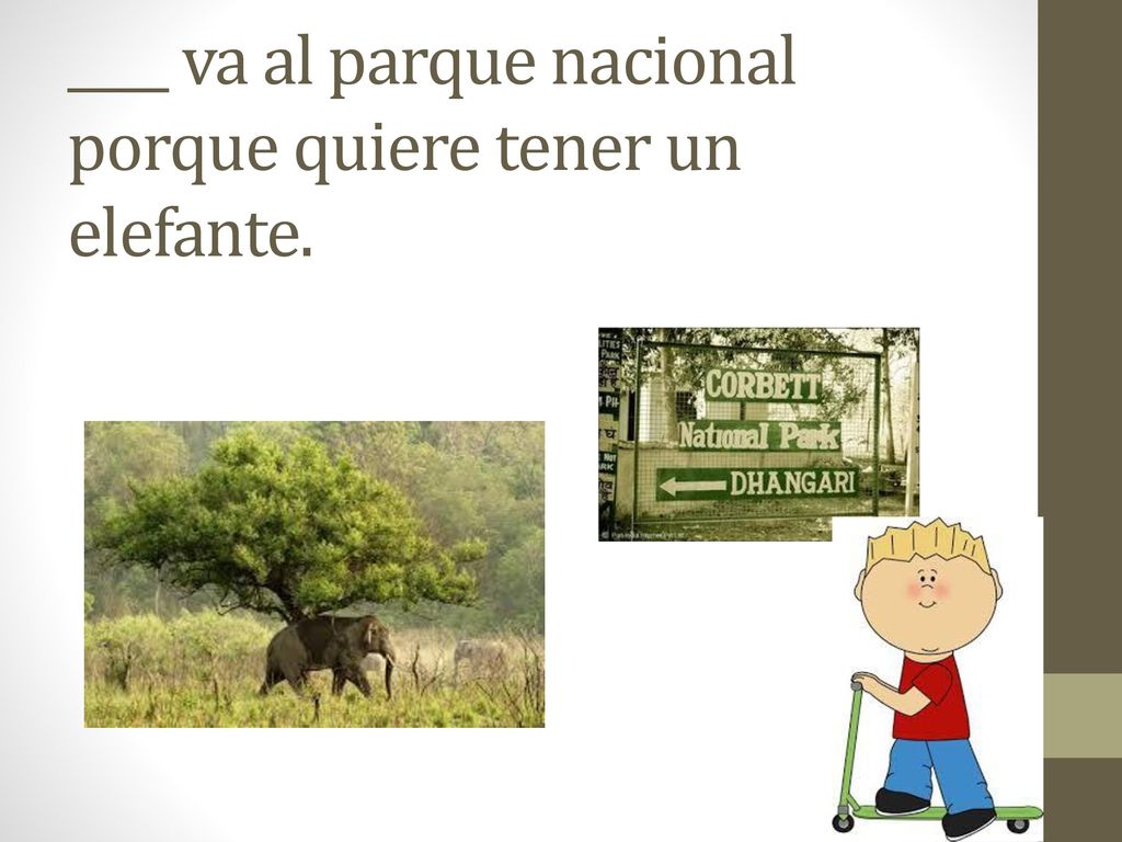 ____ va al parque nacional porque quiere tener un elefante.