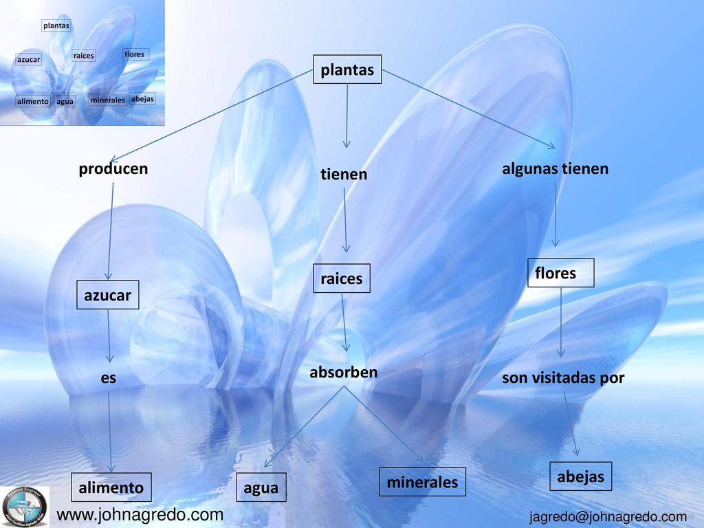 plantas producen. algunas tienen. tienen. flores. raices. azucar. absorben. es. son visitadas por.