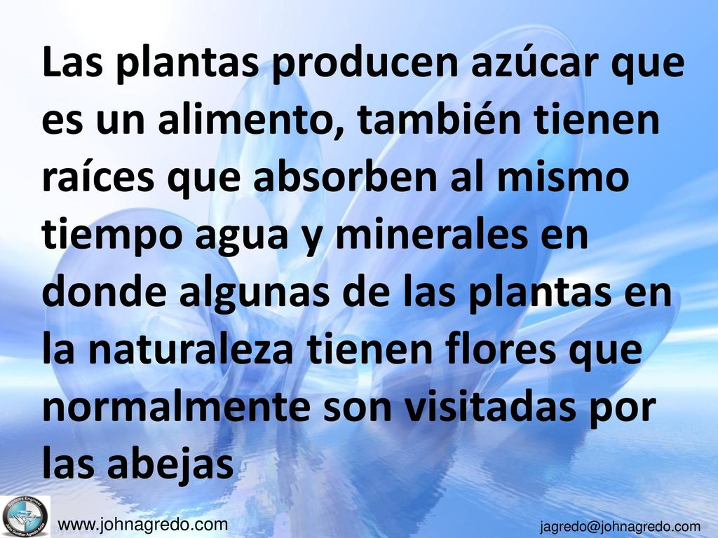 Las plantas producen azúcar que es un alimento, también tienen raíces que absorben al mismo tiempo agua y minerales en donde algunas de las plantas en la naturaleza tienen flores que normalmente son visitadas por las abejas